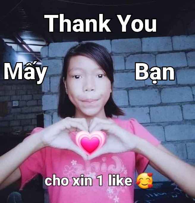 Cảm Ơn Meme 15