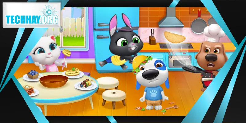 Chăm sóc chú mèo biết nói mang lại niềm vui mỗi ngày