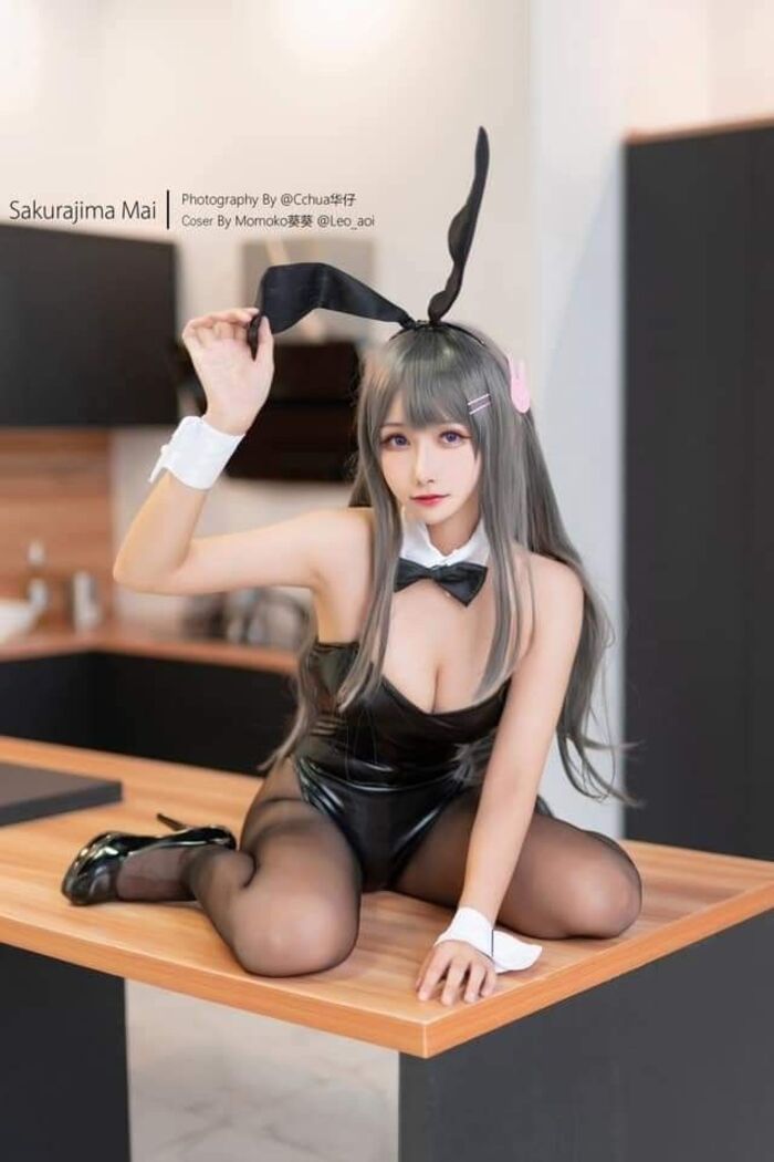 ảnh cosplay thỏ 2