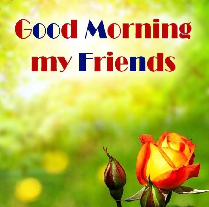 Friend Good Morning Images 9