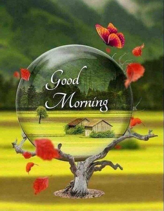 Beautiful Nature Good Morning Images 6