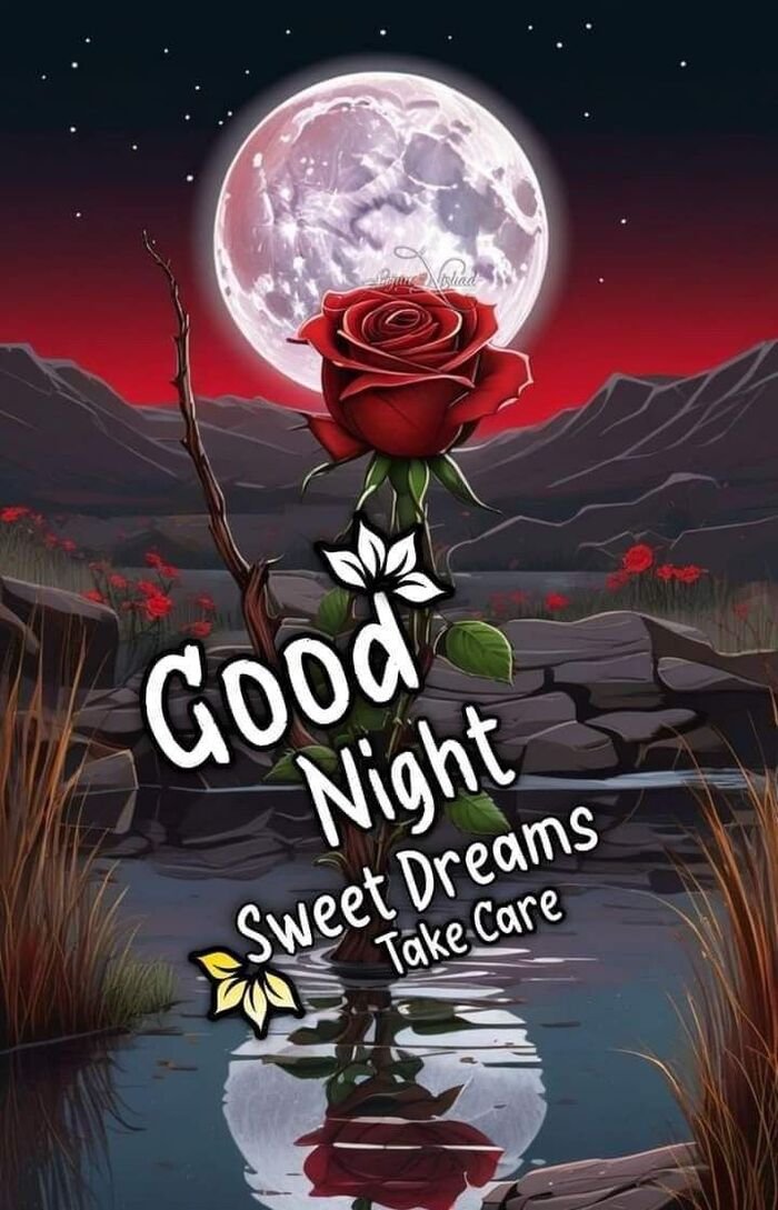 Funny Good Night Images 26