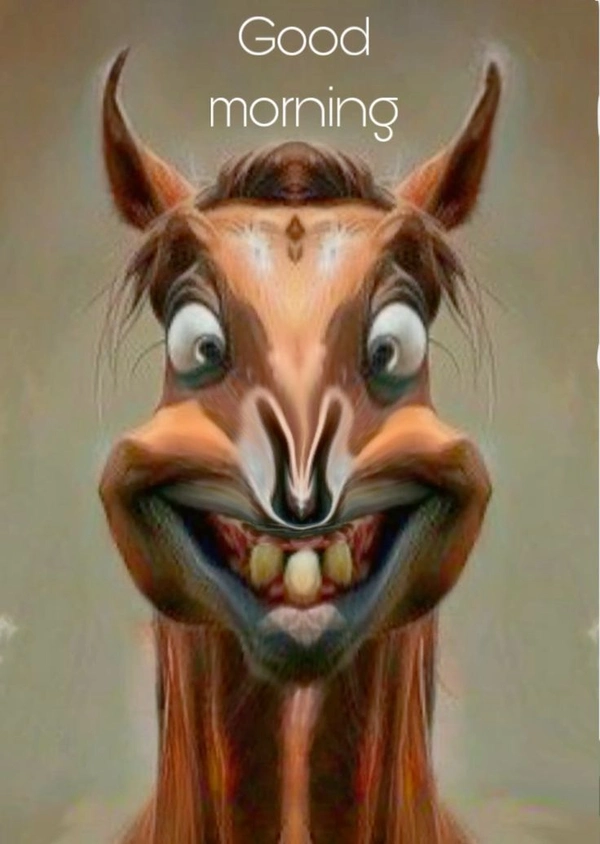 Funny Good Morning Images 40