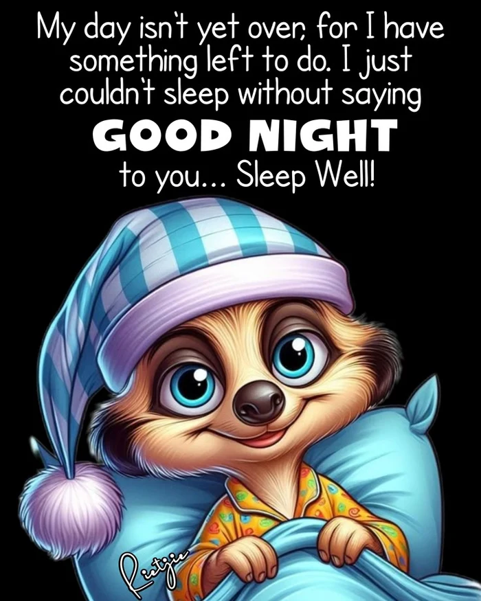 Funny Good Night Images 60