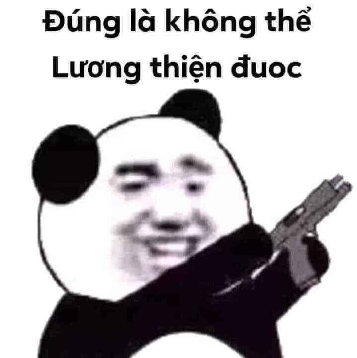 ảnh Gấu Trúc Meme 15