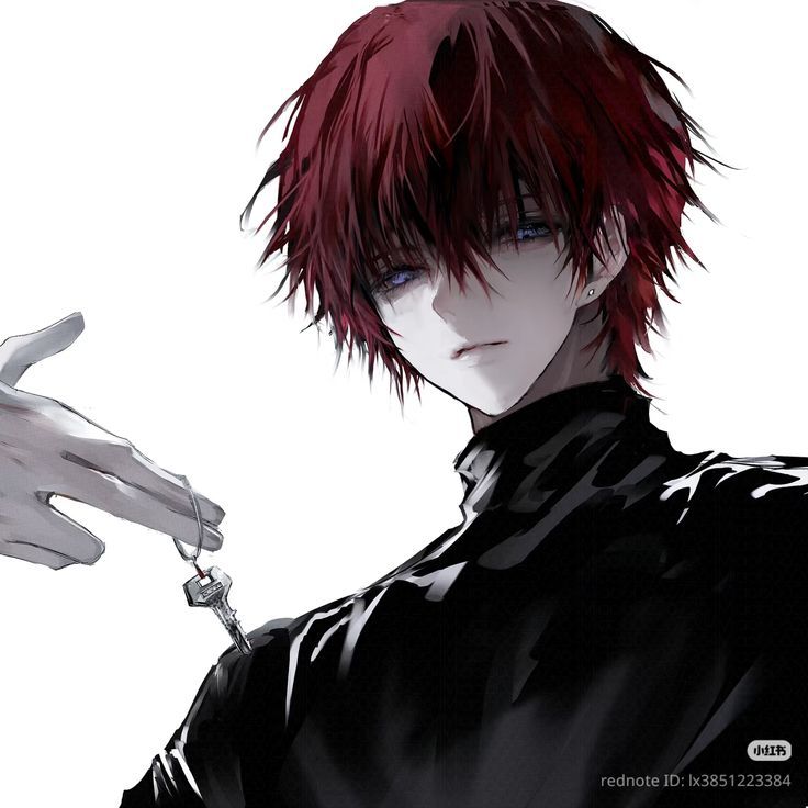 Hình Ảnh Anime Ngầu Nam 5