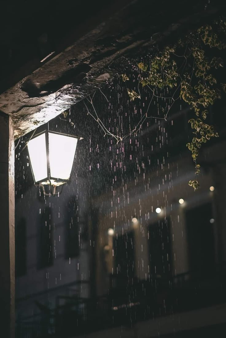 Hình Ảnh Buồn 10