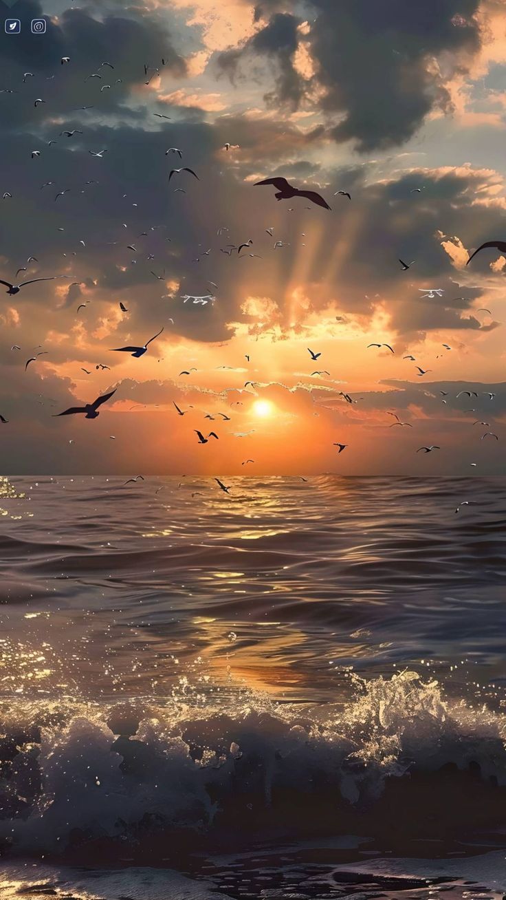 Hình Ảnh Buồn 1