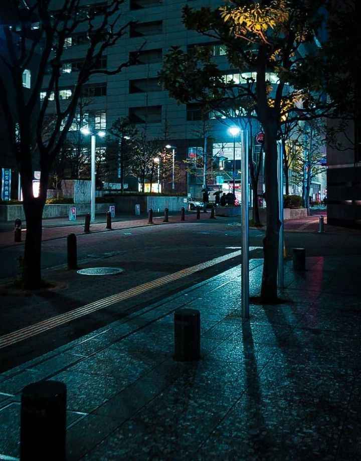 Hình Ảnh Chill Đường Phố 2