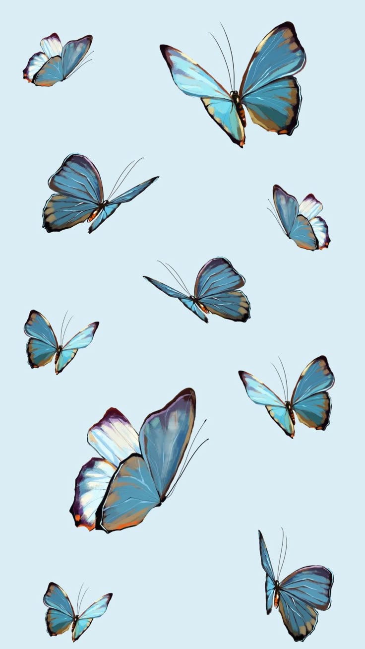 Hình Ảnh Con Bướm 7