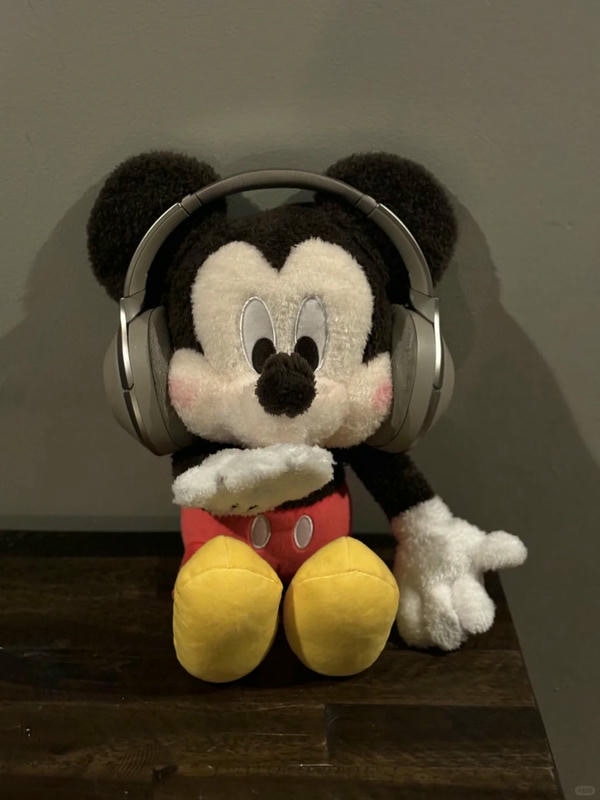 ảnh Mickey 30