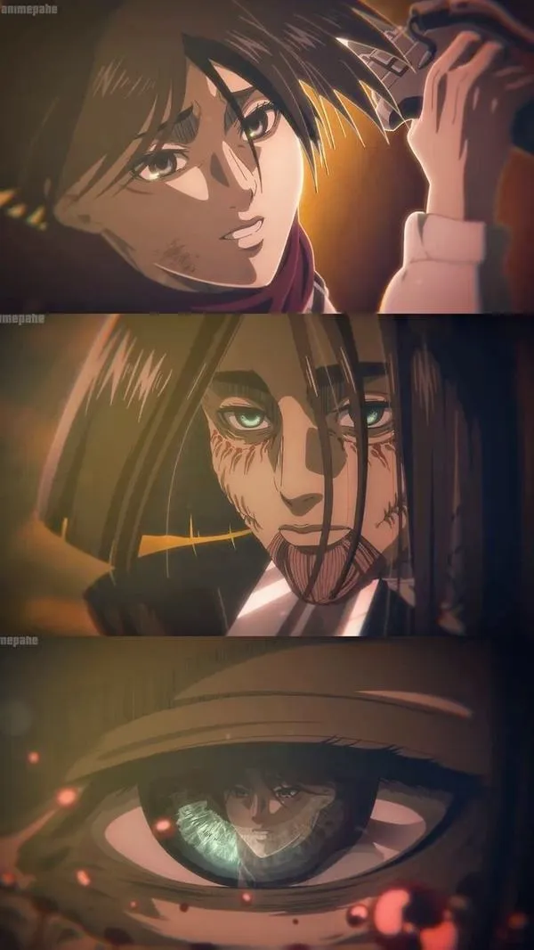 Hình Ảnh Mikasa Ackerman 70