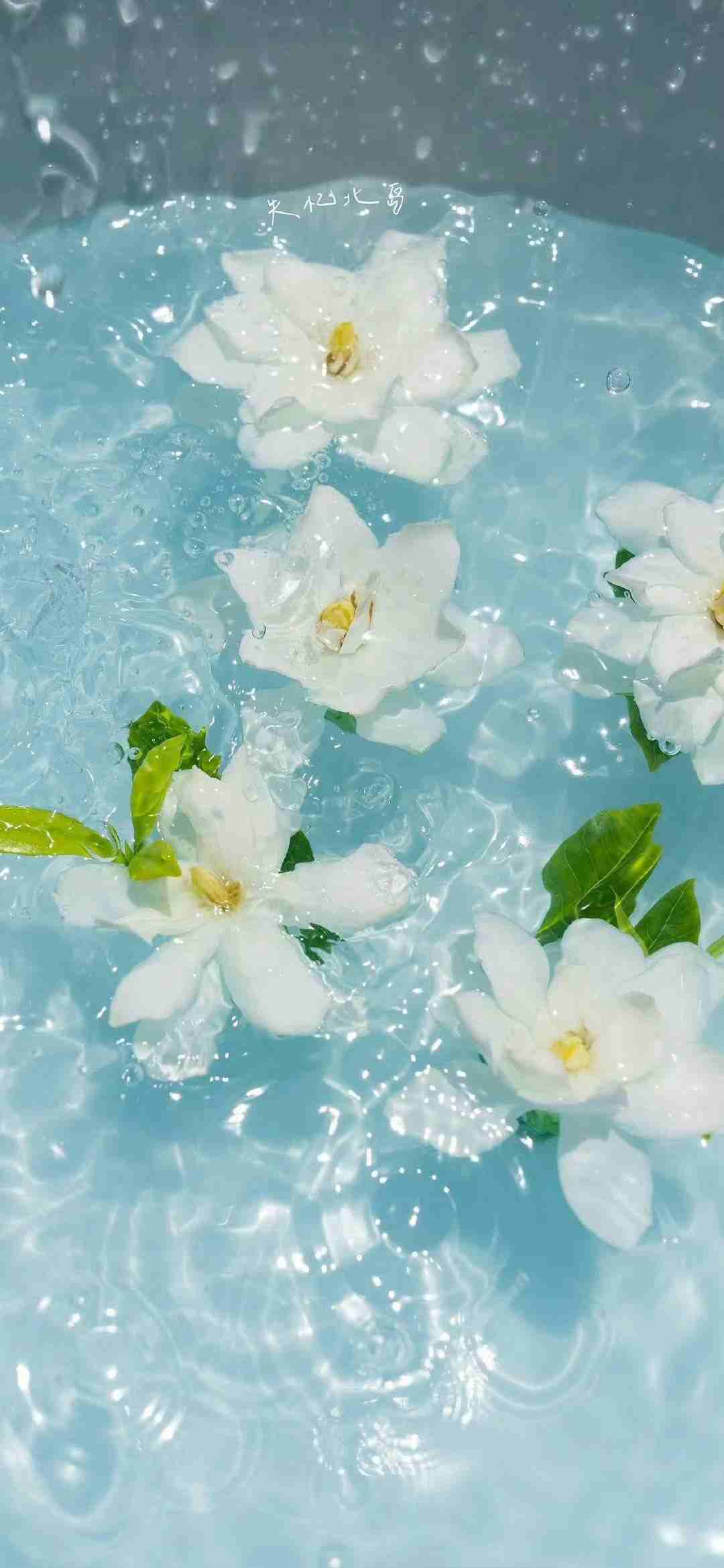 Hình nền đẹp 17