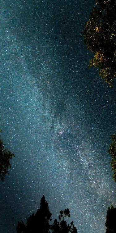 Hình Nền iPhone 15 Pro Max 5