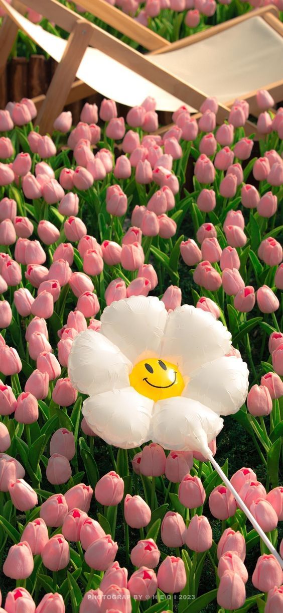 Hình Nền iPhone Đẹp Cute 1