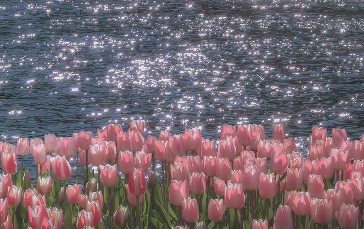 Hình Nền Máy Tính Đẹp 8