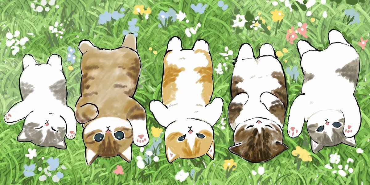 Hình Nền Mèo Cute 7