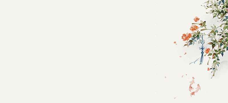 Hình Nền Trắng 9