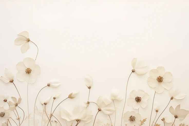 Hình Nền Trắng 6