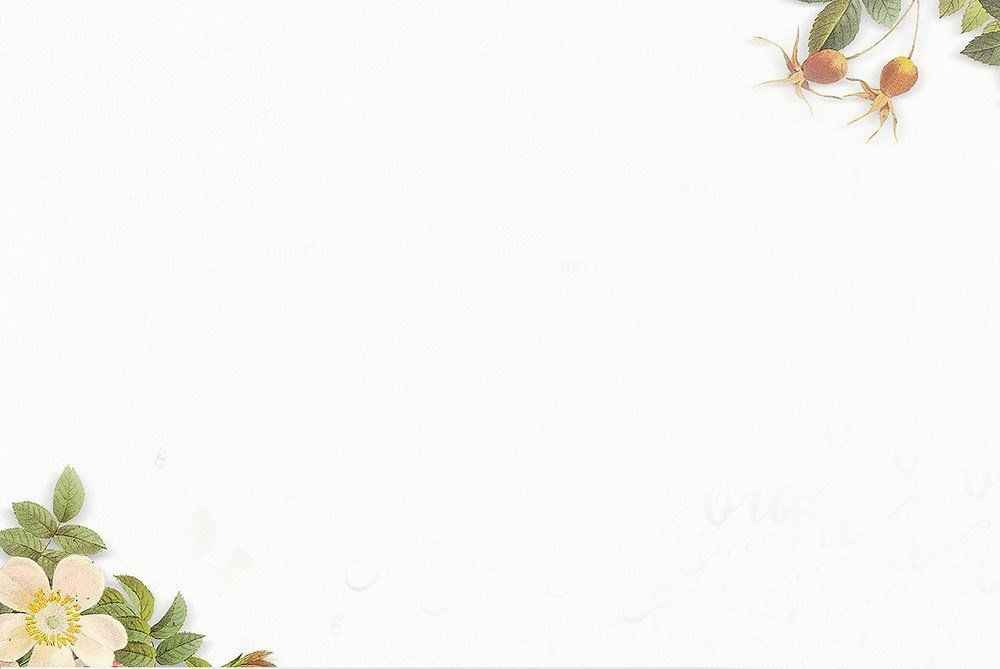 Hình Nền Trắng 7