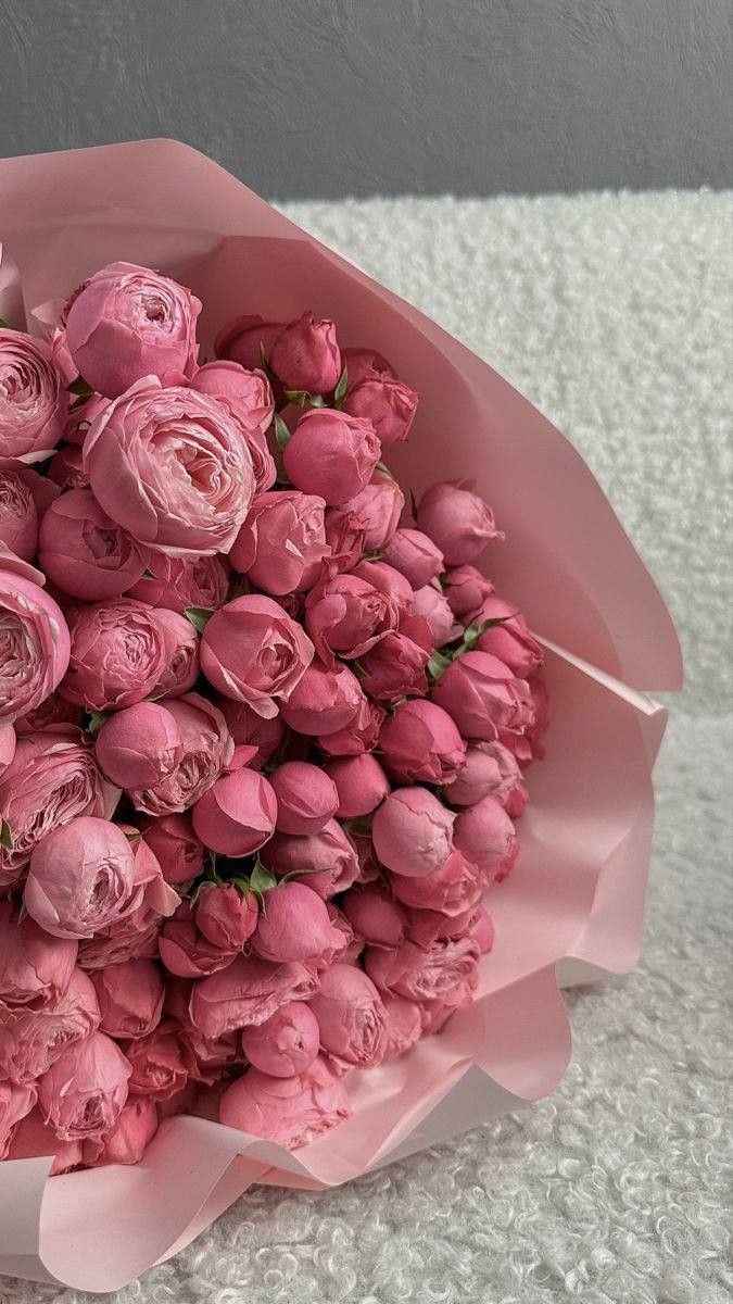 Ảnh Hoa Mẫu Đơn 15