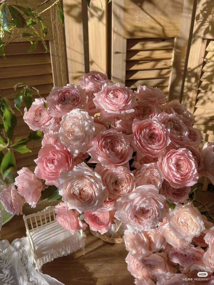 Ảnh Hoa Mẫu Đơn 9