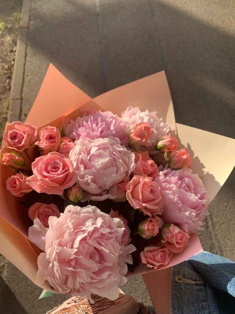 Ảnh Hoa Mẫu Đơn 2