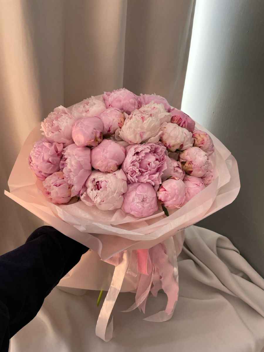 Ảnh Hoa Mẫu Đơn 4