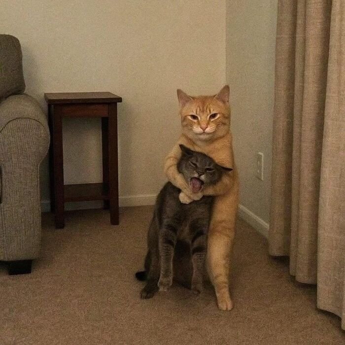 Creative Images for DP 2