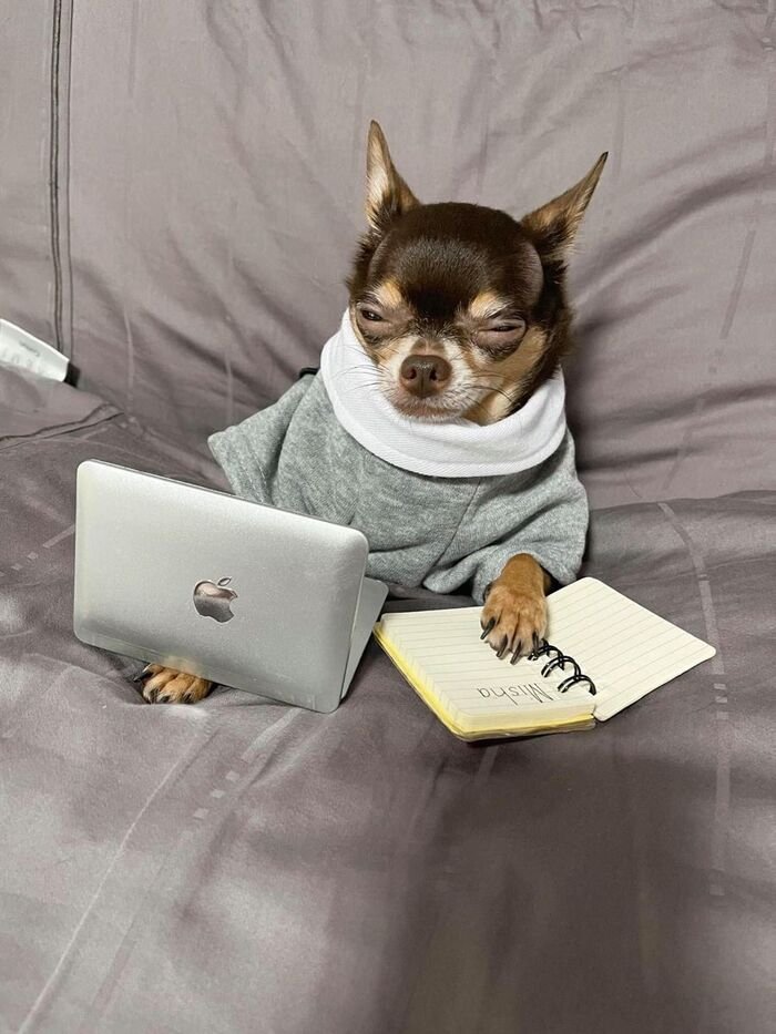 Creative Images for DP 6