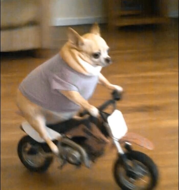 Creative Images for DP 8