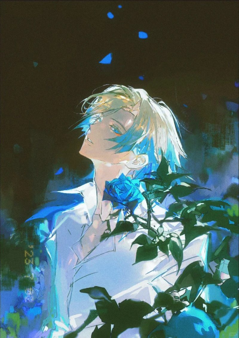 ảnh Kaiser anime 12