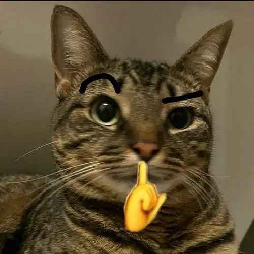 Meme Cười Đểu 4