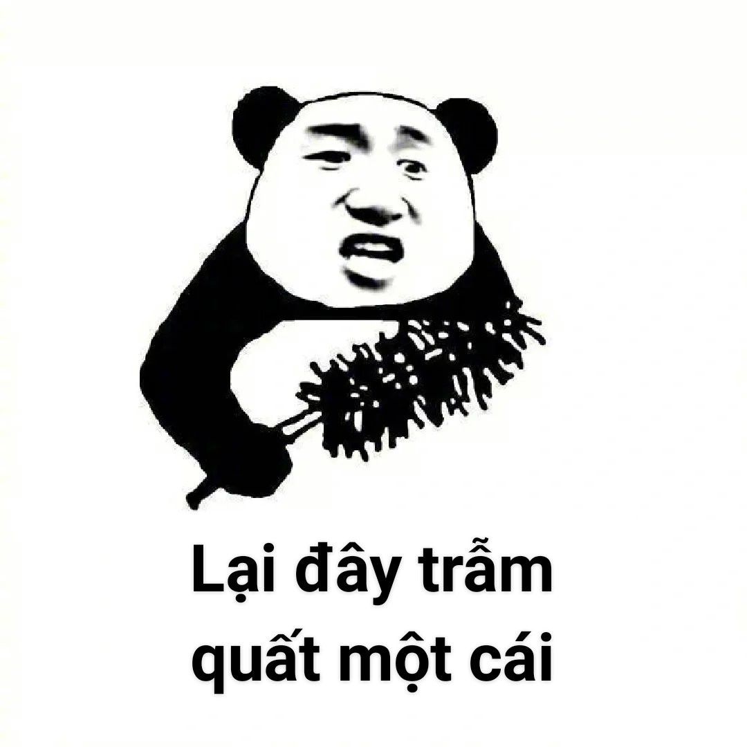 Meme Gấu Trúc 16