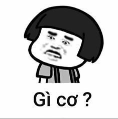 Gấu Trúc Meme 6