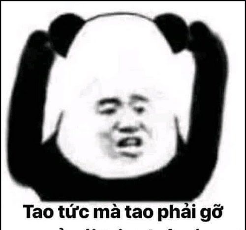 Gấu Trúc Meme 1