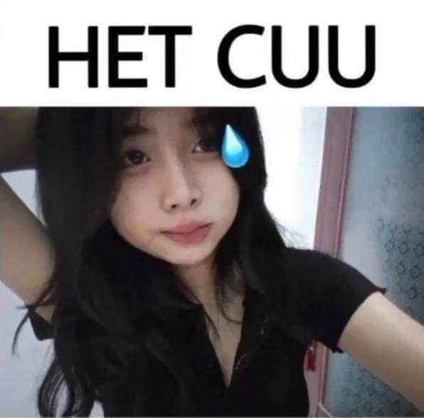 Meme hết cứu 14