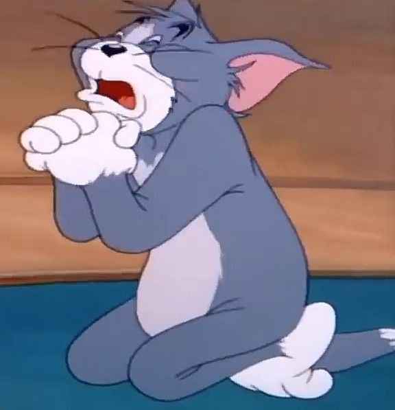 Meme Tom and Jerry 3