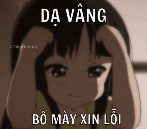 Meme xin lỗi 1