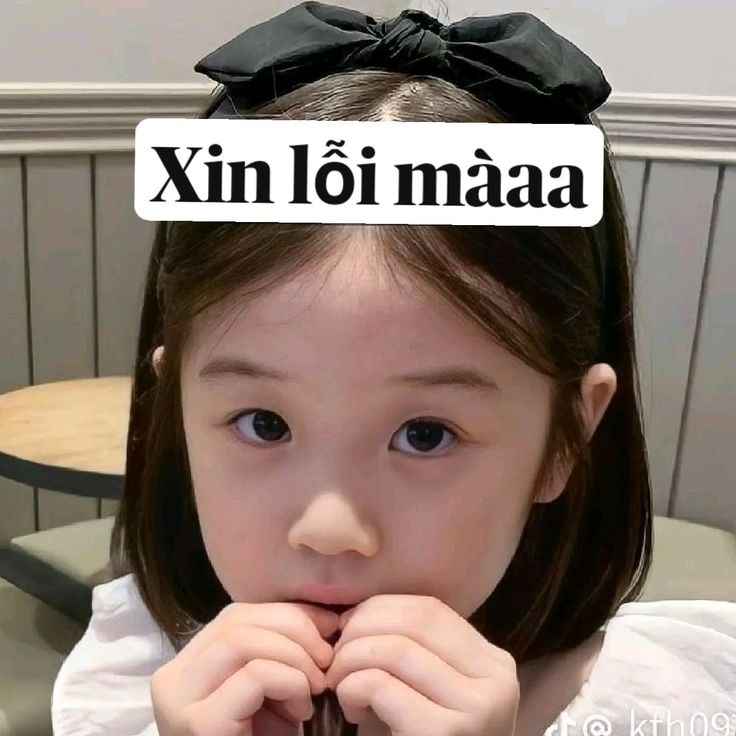 Meme xin lỗi 15