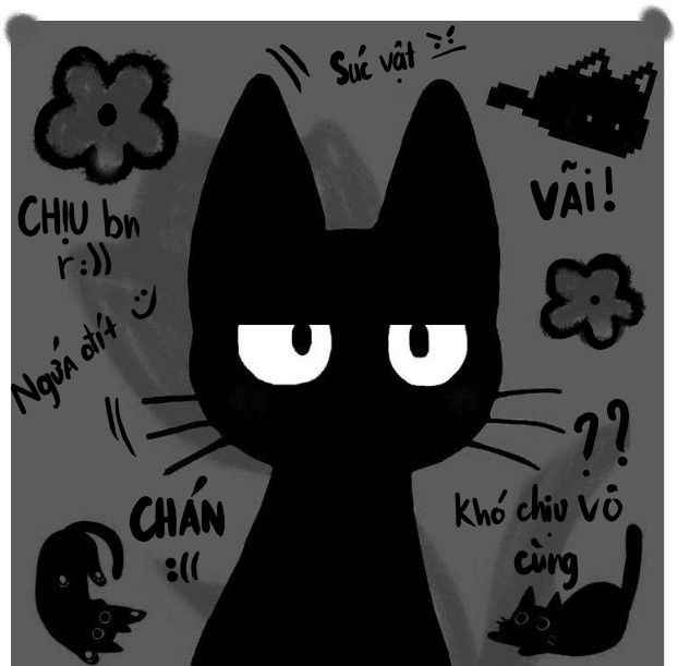 Mèo đen anime 10