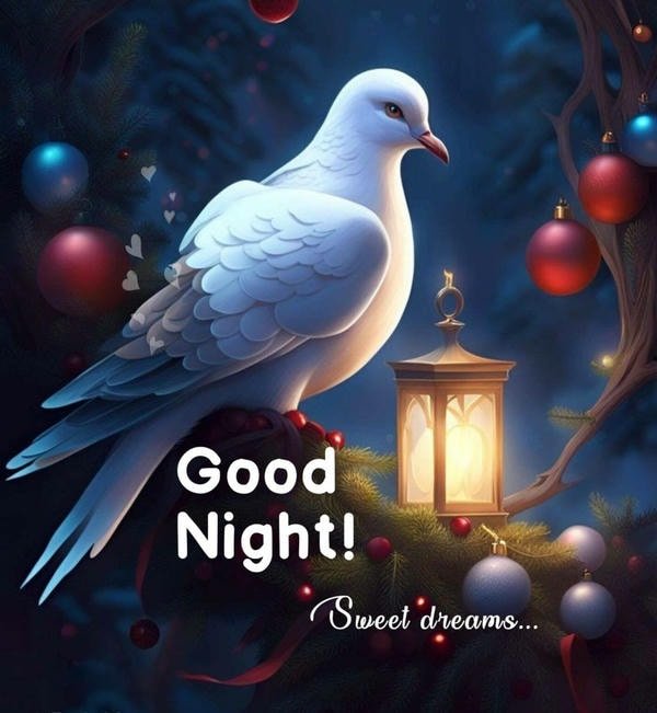 Beautiful good night images 40