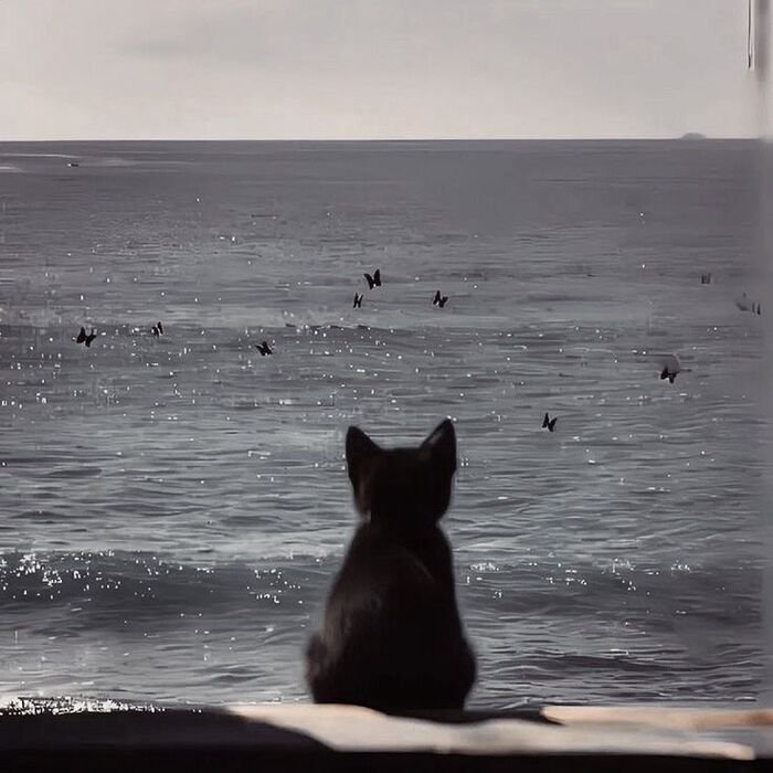 Sad DP for Instagram 26