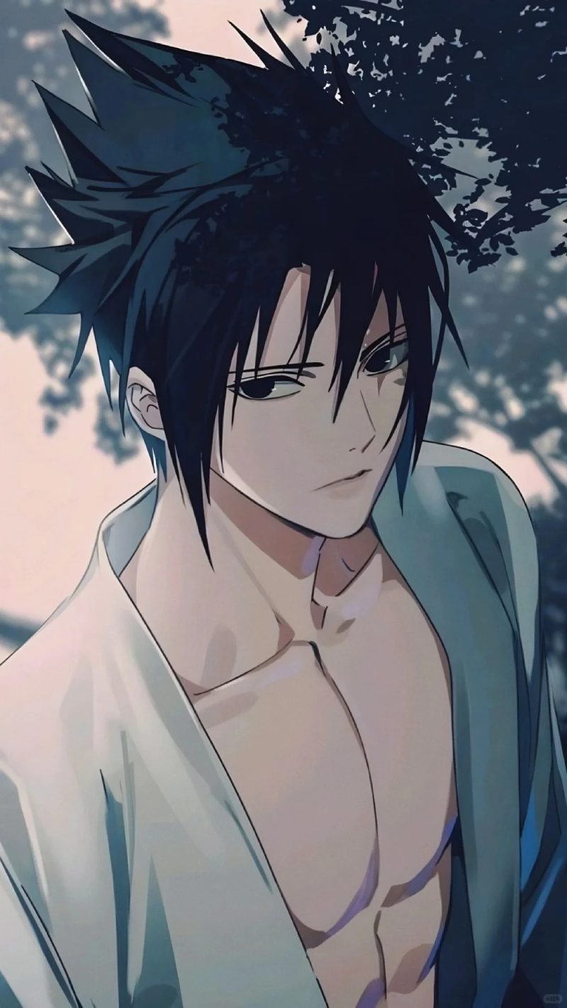 Sasuke anime 33
