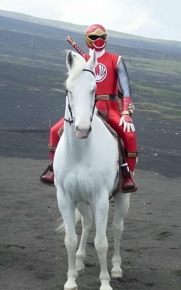 Siêu Nhân Cuồng Phong 5