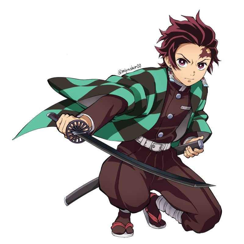 Thanh Gươm Diệt Quỷ Anime 14