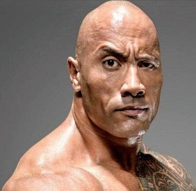 The Rock Meme 19