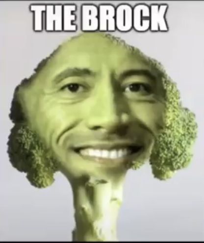 The Rock Meme 16