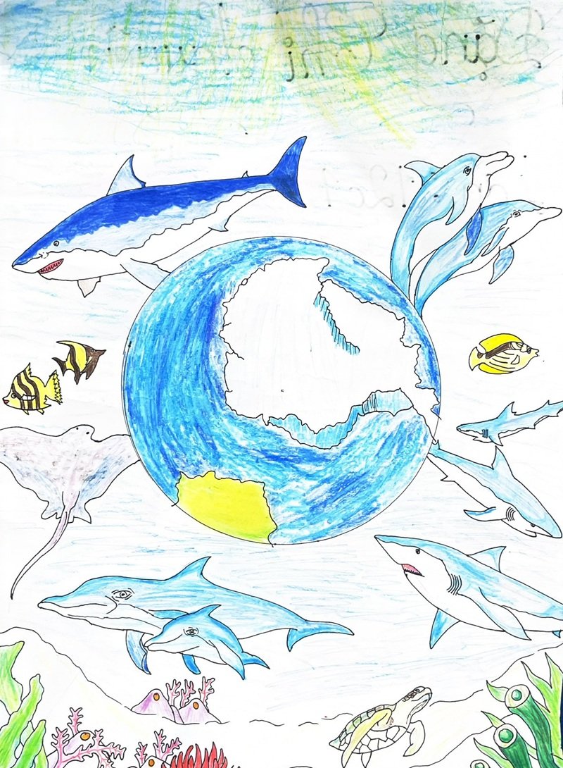 vẽ tranh bảo vệ môi trường 27