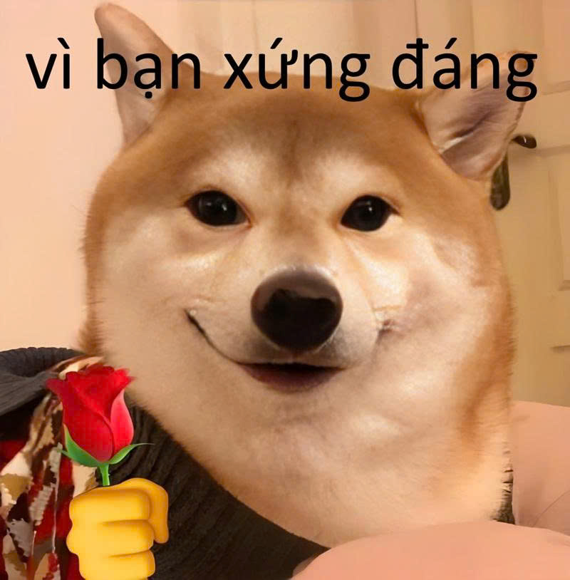 Vì Bạn Xứng Đáng Meme 24
